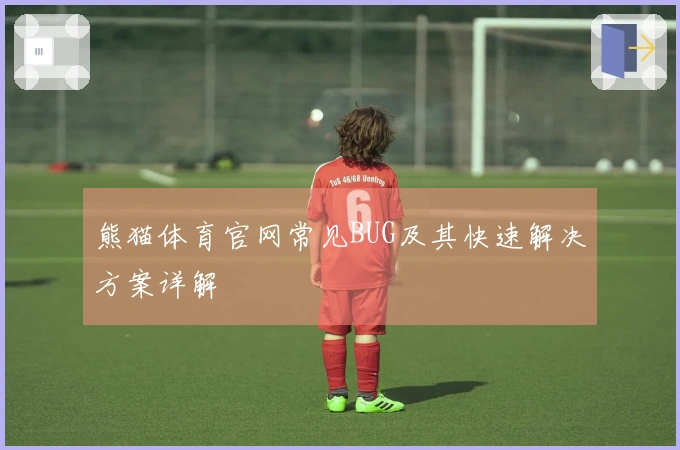 熊猫体育官网常见BUG及其快速解决方案详解