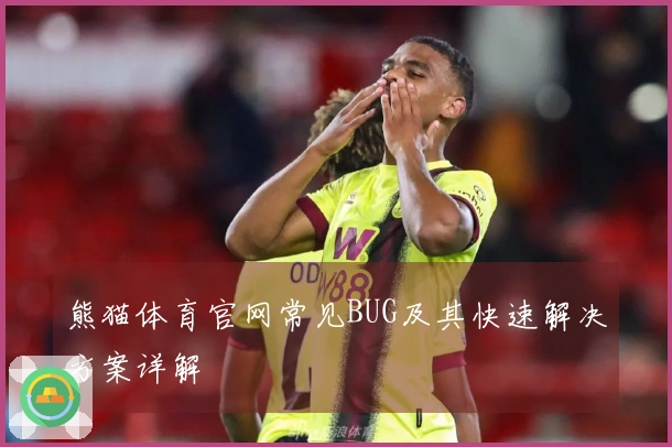 熊猫体育官网常见BUG及其快速解决方案详解