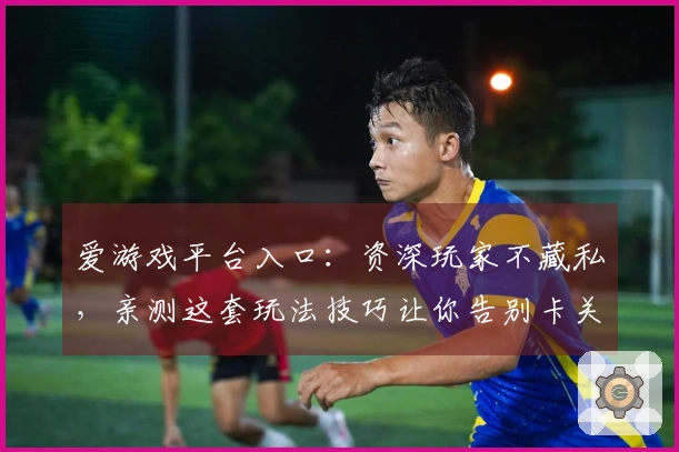 爱游戏平台入口：资深玩家不藏私，亲测这套玩法技巧让你告别卡关烦恼